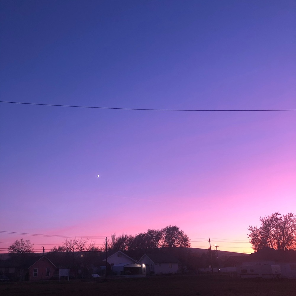 Meet your Posher, Alondra